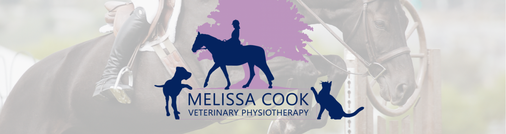 Melissa Cook Veterinary Physiotherapy