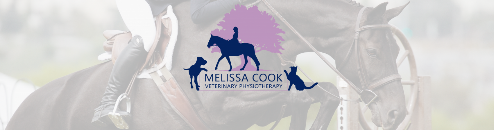 Melissa Cook Veterinary Physiotherapy
