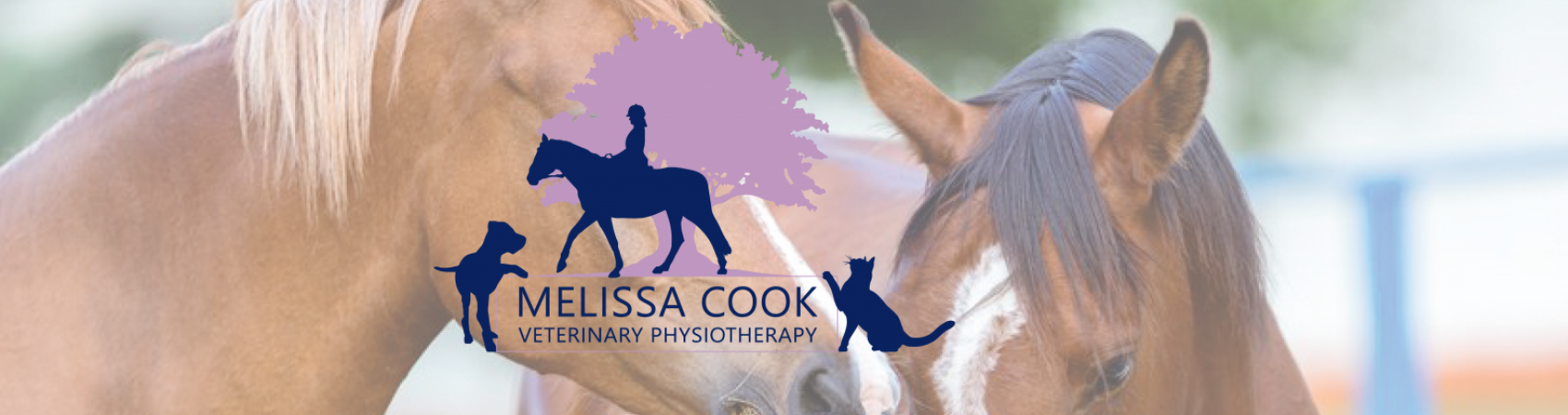 Melissa Cook Veterinary Physiotherapy