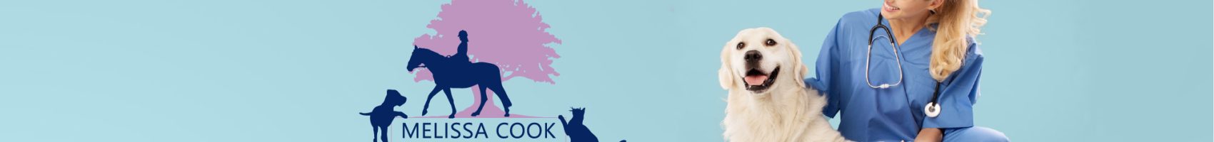 Information for Vets