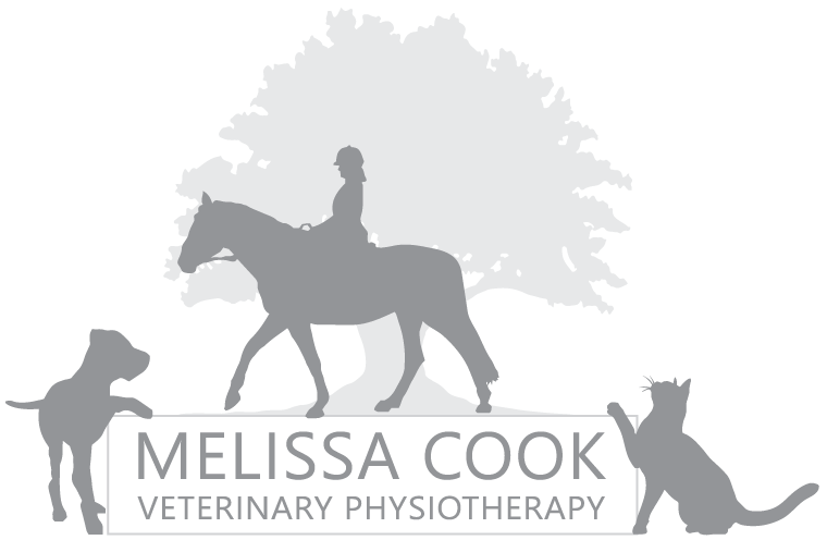 Melissa Cook Veterinary Physiotherapy